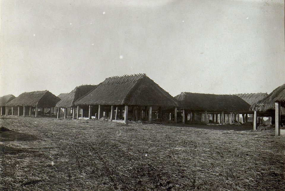 Wirtschaftsgebäude Zydyczyn. (BildID 15690831)