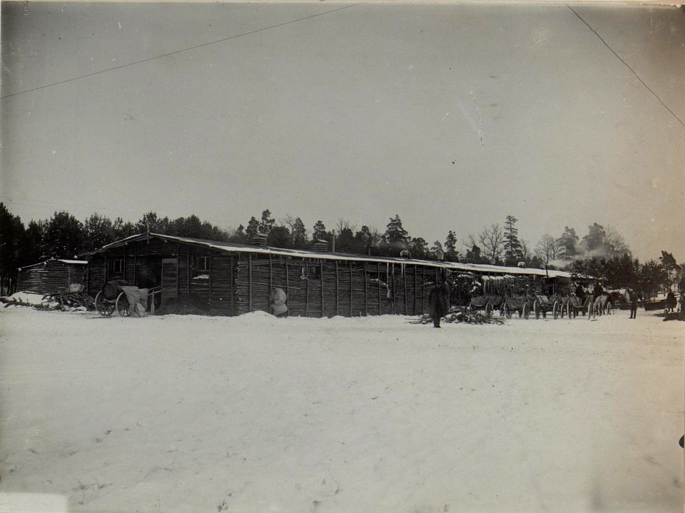 Winterstall für 100 Pferde, verfertigt aus Baumstämmen (BildID 15444616)