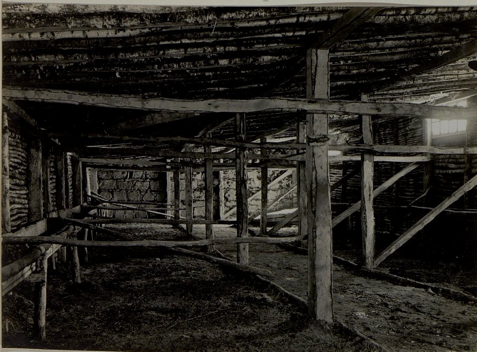 Winter Pferdestallungen (innen) Podkamien, 14.I.1916. (BildID 15453971)