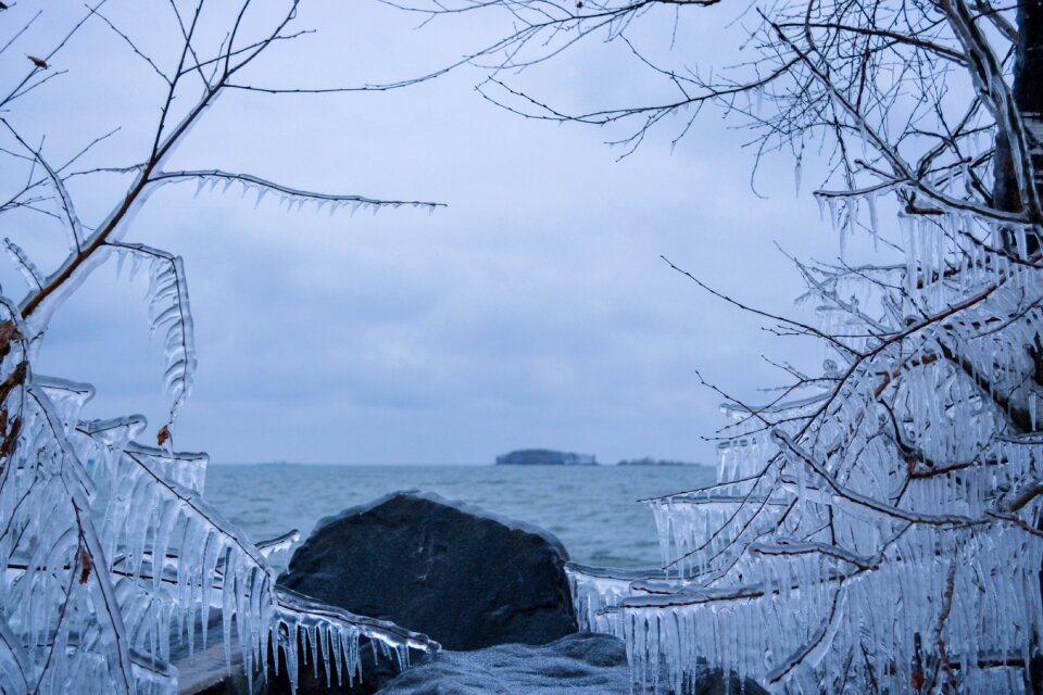 Leann coldly frozen