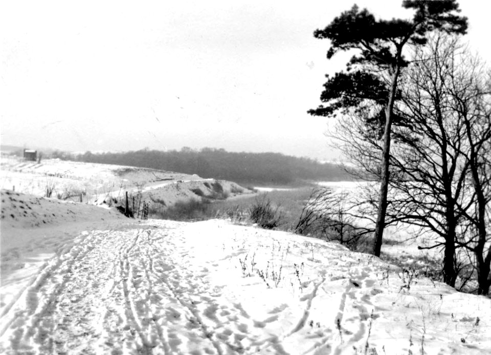Winterlandschaft am Russee (Kiel 73.306)