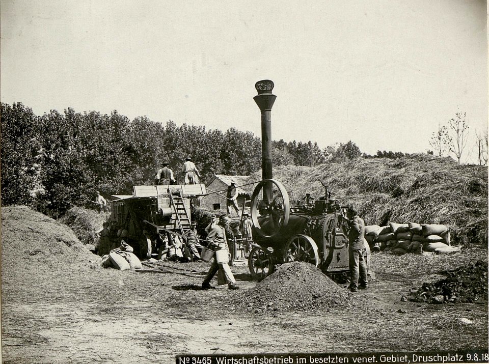 Wirtschaftsbetrieb im besetzten venetischen Gebiet Druschplatz (BildID 15623439)