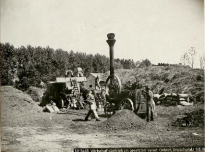 Wirtschaftsbetrieb im besetzten venetischen Gebiet Druschplatz (BildID 15623439)