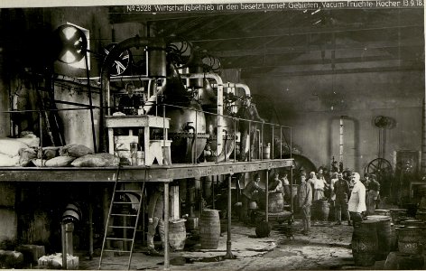 Wirtschaftsbetrieb in den besetzten venetischen Gebieten, Vacuum-Früchte-Kocher 13.9.18. (BildID 15624113)
