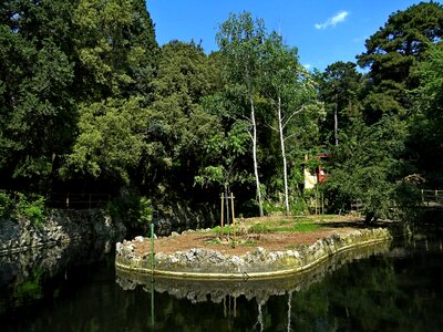 Travel summer park