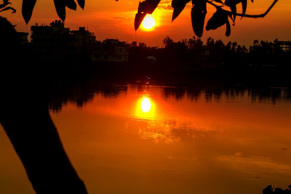 Sun sunlight summer