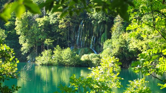 Waterfall tree national park photo