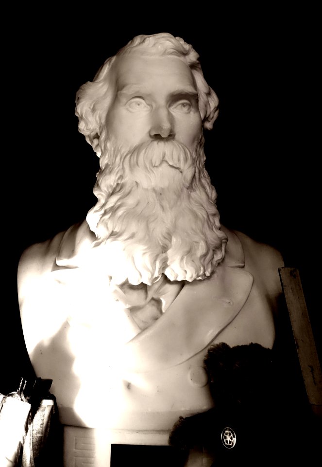 WJS Webber bust 1875 (1a)