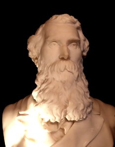 WJS Webber bust 1875 (1b)