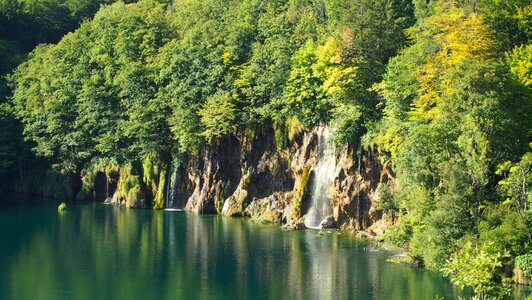 Waterfall tree national park photo