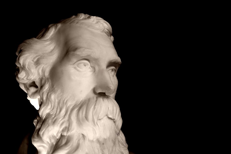 WJS Webber bust 1875 (9)