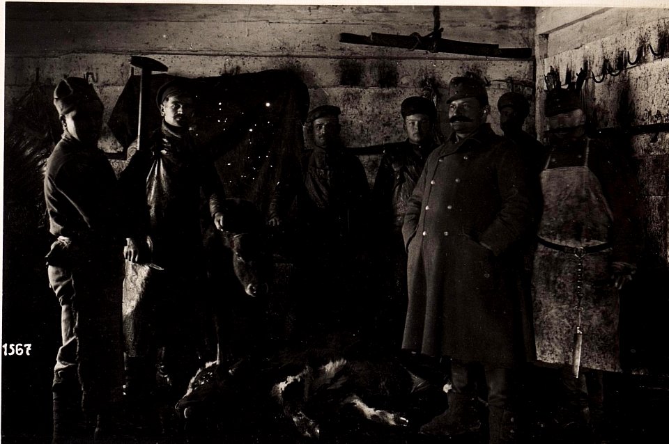 Wladimir-Wolynskij, Schlachtviehdepot. (27-III.1918.) (BildID 15713972)