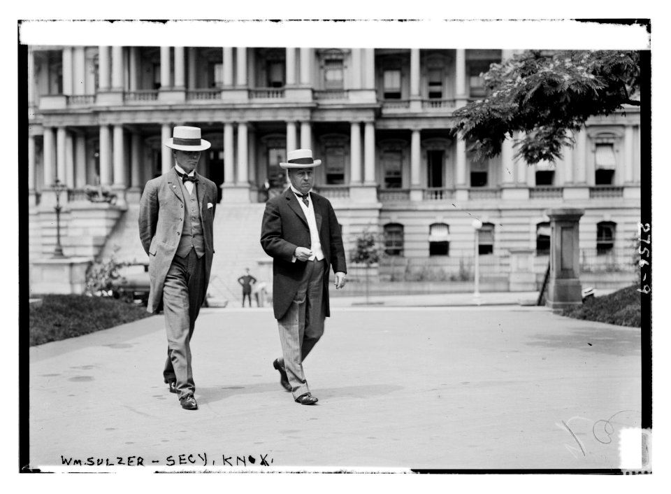 Wm. Sulzer - Secy Knox LCCN2014693548