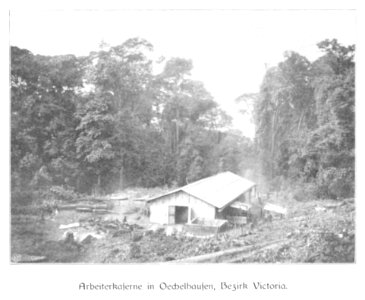 WOHLTMANN(1904) p049 Arbeiterkaserne in Oechelhausen, Bezirk Viktoria