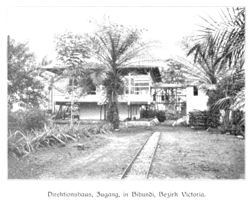 WOHLTMANN(1904) p036 Direktionshaus in Bibundi, Bezirk Viktoria