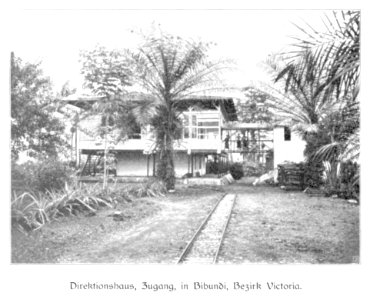 WOHLTMANN(1904) p036 Direktionshaus in Bibundi, Bezirk Viktoria