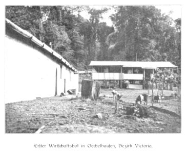 WOHLTMANN(1904) p045 Erster Wirtschaftshof in Oechelhausen, Bezirk Viktoria