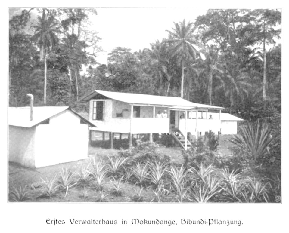 WOHLTMANN(1904) p047 Erstes Verwalterhaus in Moundange, Bibundi-Pflanzung