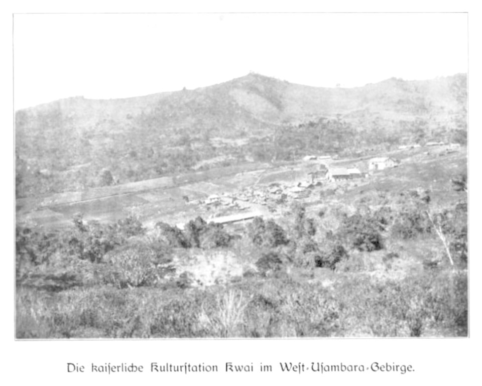 WOHLTMANN(1904) p074 Die kaiserliche Kulturstation Kwai, Usambara-Gebirge