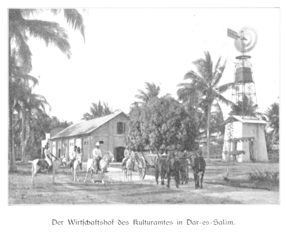 WOHLTMANN(1904) p073 Wirtschaftshof des Kulturamtes in Dar-es-Salam