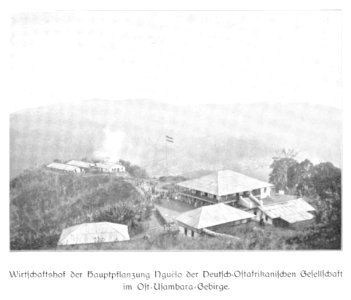 WOHLTMANN(1904) p085 Wirtschaftshof der Hauptpflanzung Nguelo der Deutsch-Ostafrikanischen-Gesellschaft