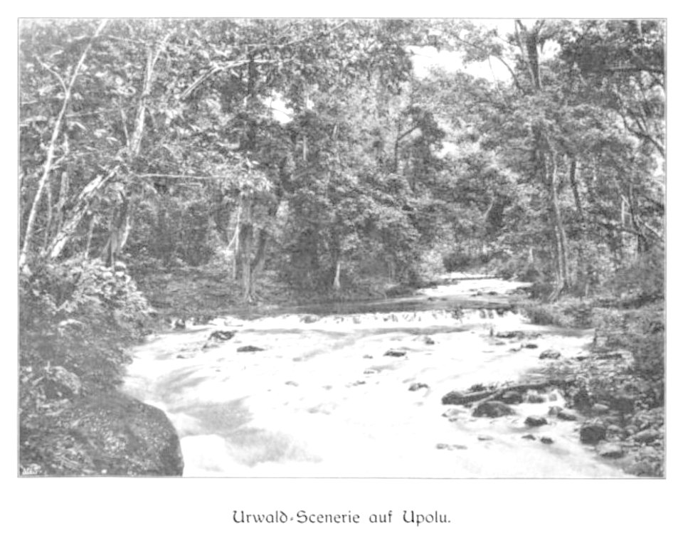 WOHLTMANN(1904) p119 Urwald-Partie auf Upolu