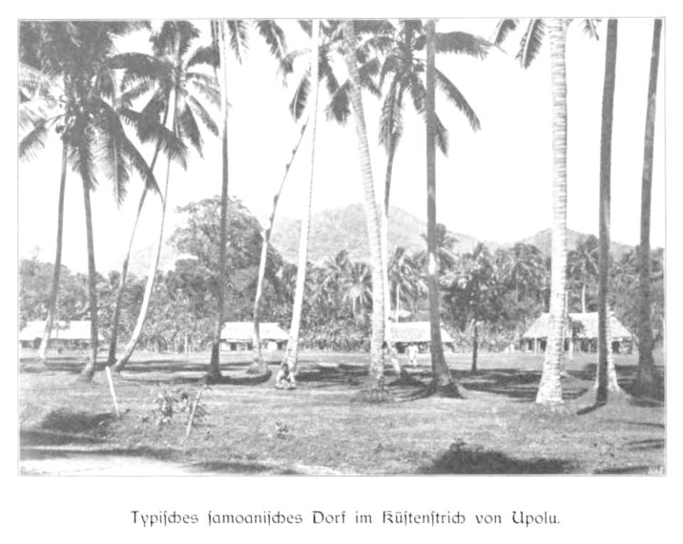 WOHLTMANN(1904) p097 Typisches samoanisches Dorf an der Küste von Upolu