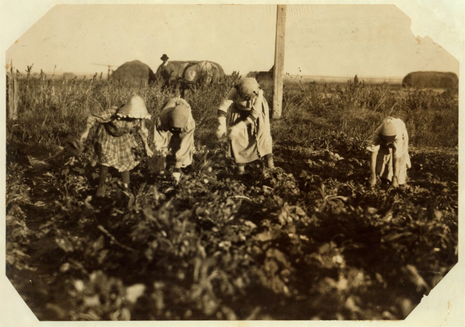 Wohn family, near Sterling Colo. See photos and labels preceding. LOC nclc.00337
