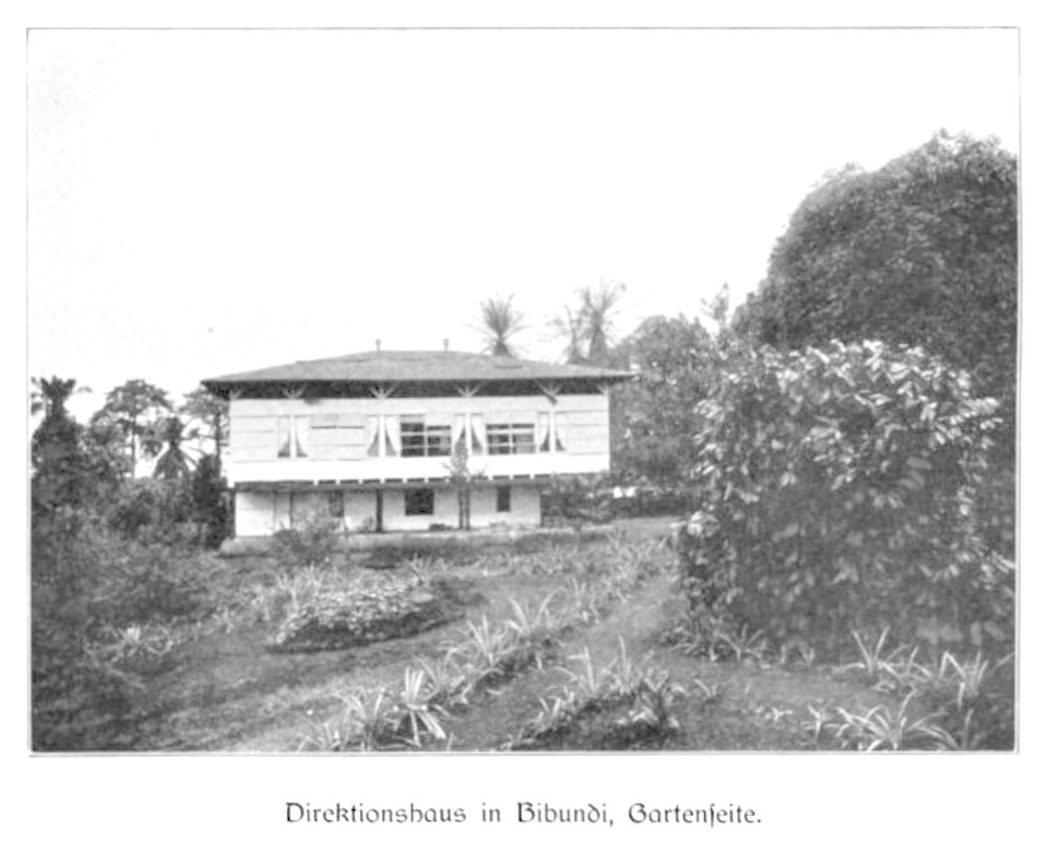 WOHLTMANN(1904) p037 Gartenseite des Direktionsgebäudes von Bibundi