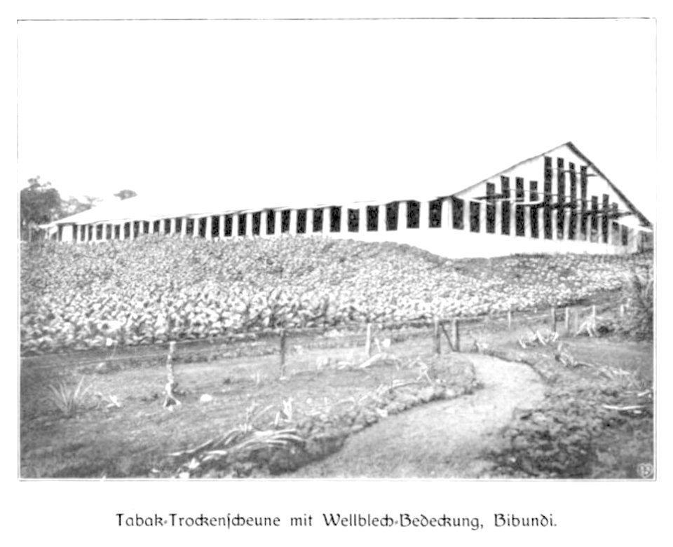 WOHLTMANN(1904) p025 Taback-Trockenscheune mit Wellblech-Bedeckung, Bibundi