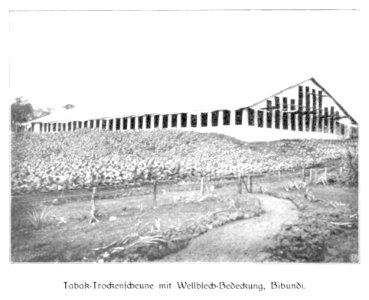 WOHLTMANN(1904) p025 Taback-Trockenscheune mit Wellblech-Bedeckung, Bibundi