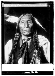 Wolf Robe profile appears on Buffalo nickle LCCN2016821490
