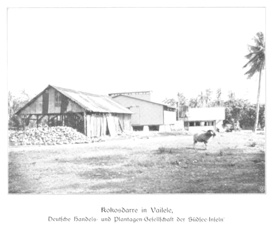 WOHLTMANN(1904) p103 Kokosdarre in Vailele, Deutsche Handels- und Plantagengesellschaft der Südsee-Inseln