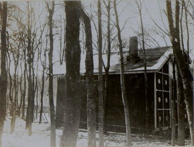 Wohnung des Divisionärs der 40. H.ITD.im Walde Dolcok. (BildID 15451594)