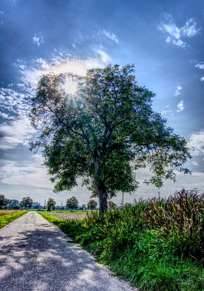 Sunbeam backlighting cycle path