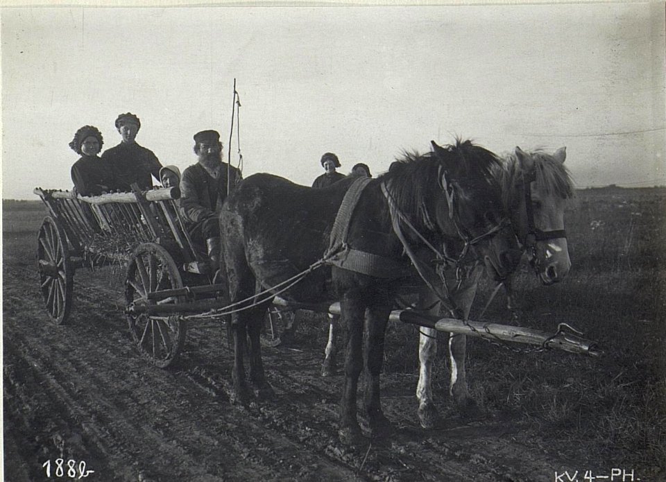 Wolhynischer Bauernwagen in Wladimir Wolinsky (BildID 15694293)
