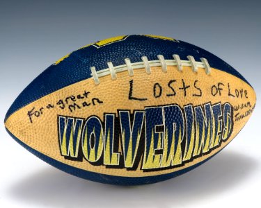 Wolverines Football (2007.93)