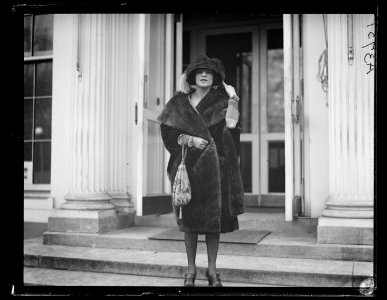 Woman at White House, Washington, D.C. LCCN2016890995