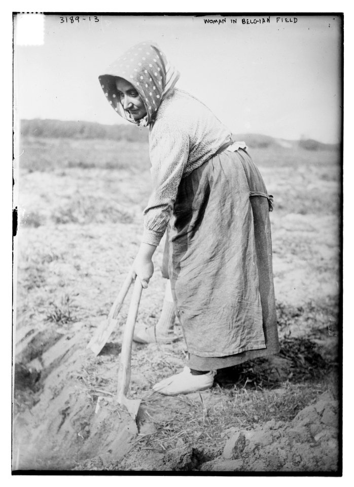Woman in Belgian Field LCCN2014697045