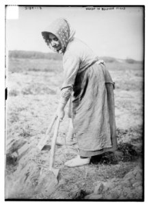 Woman in Belgian Field LCCN2014697045