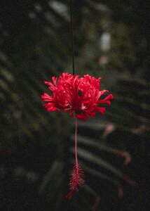 Outdoors leaf season