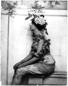Woman posed, three-quarter length, seated, left profile, with vine draped over head and shoulder LCCN96505515