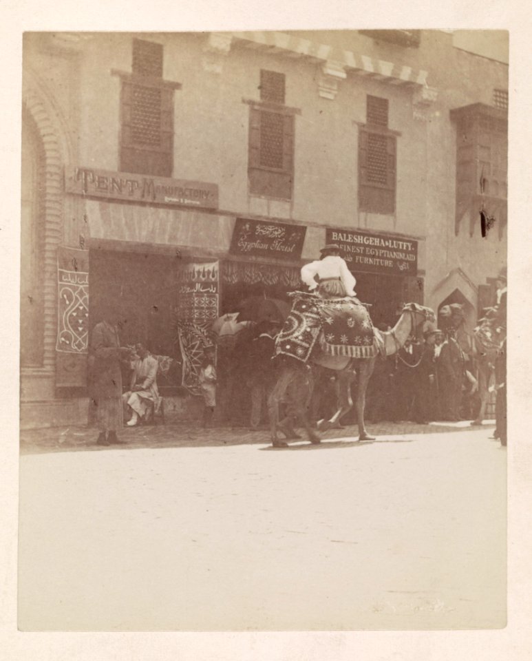 Woman riding camel on the Street of Cairo section of the Midway at the World's Columbian Exposition, Chicago, Illinois LCCN2014645369