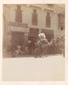 Woman riding camel on the Street of Cairo section of the Midway at the World's Columbian Exposition, Chicago, Illinois LCCN2014645369