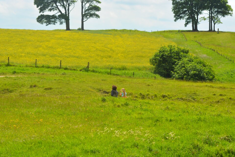 Harmony peace countryside