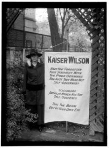 WOMAN SUFFRAGE BANNERS LCCN2016868530