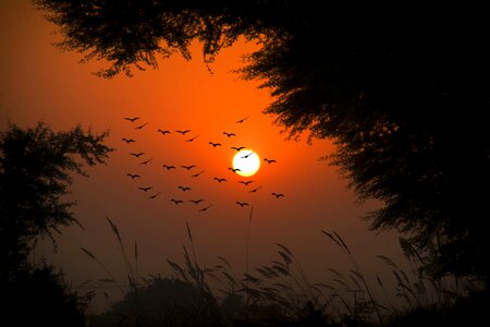 Dawn silhouette village sunset