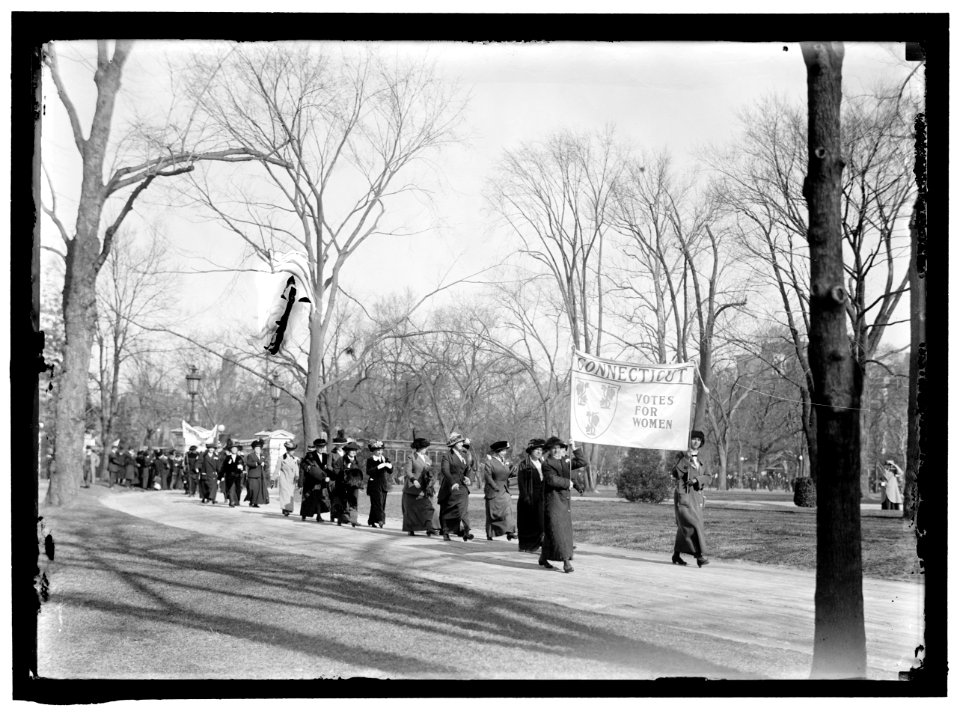 WOMAN SUFFRAGE. AT WHITE HOUSE WITH BANNERS LCCN2016865182