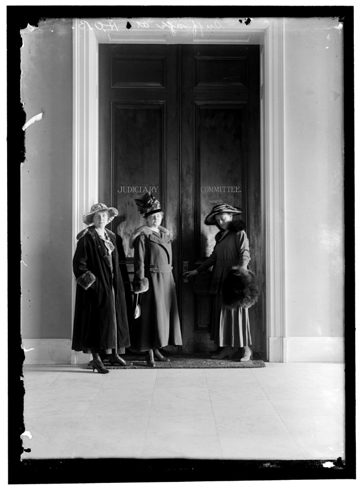 WOMAN SUFFRAGE. GROUP OF SUFFRAGISTS AT HOUSE OFFICE BUILDING LCCN2016866848