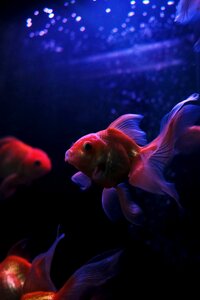 Ocean underwater dark